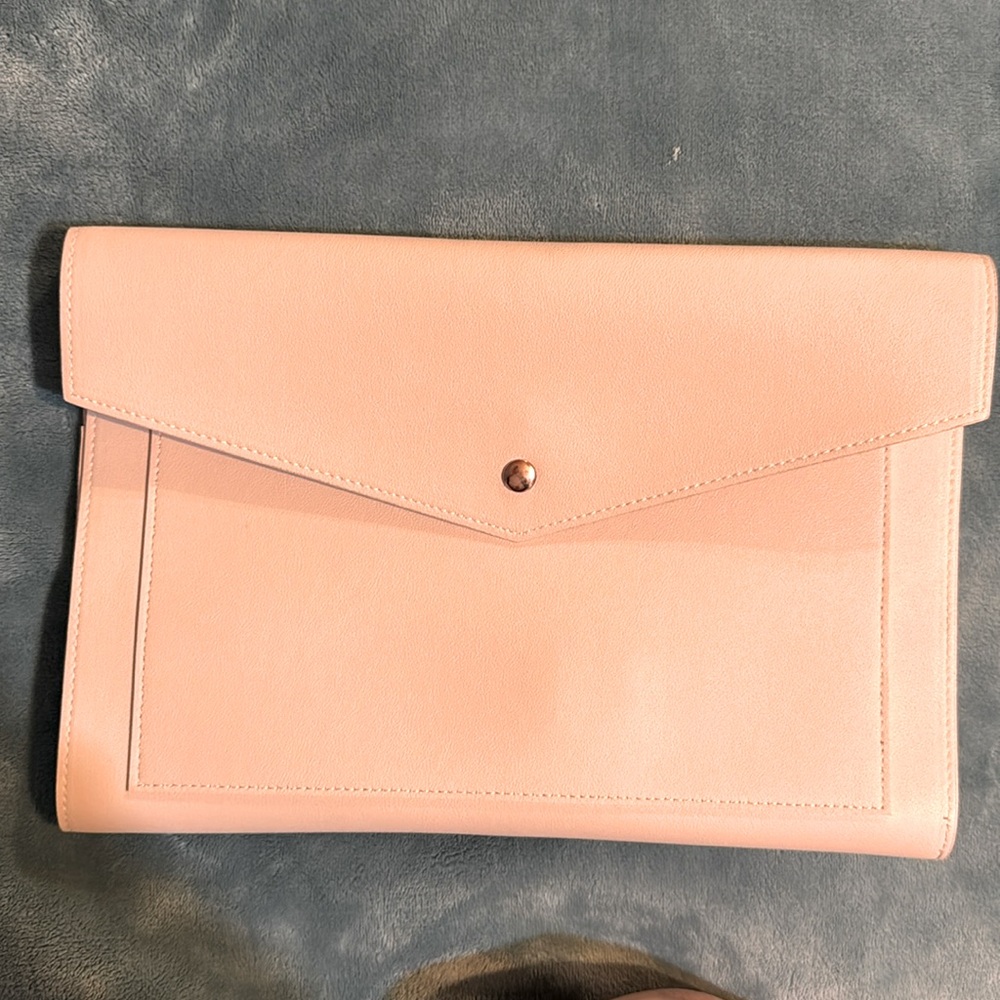 Glass Ladder and Company Pink portfolio clutch.